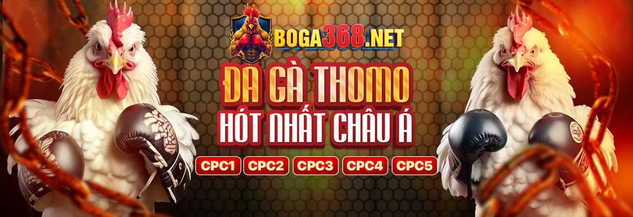 Đội ngũ hỗ trợ khách hàng HQ88 App luôn sẵn sàng