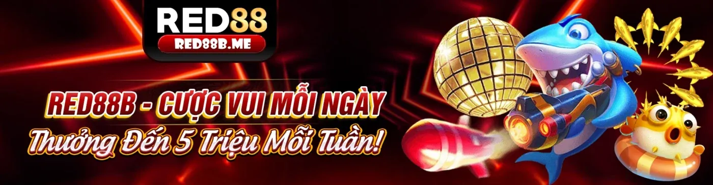 Ứng dụng HQ88 trên điện thoại, giao diện cá cược thể thao